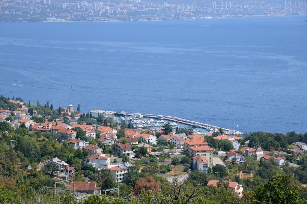 Micic *